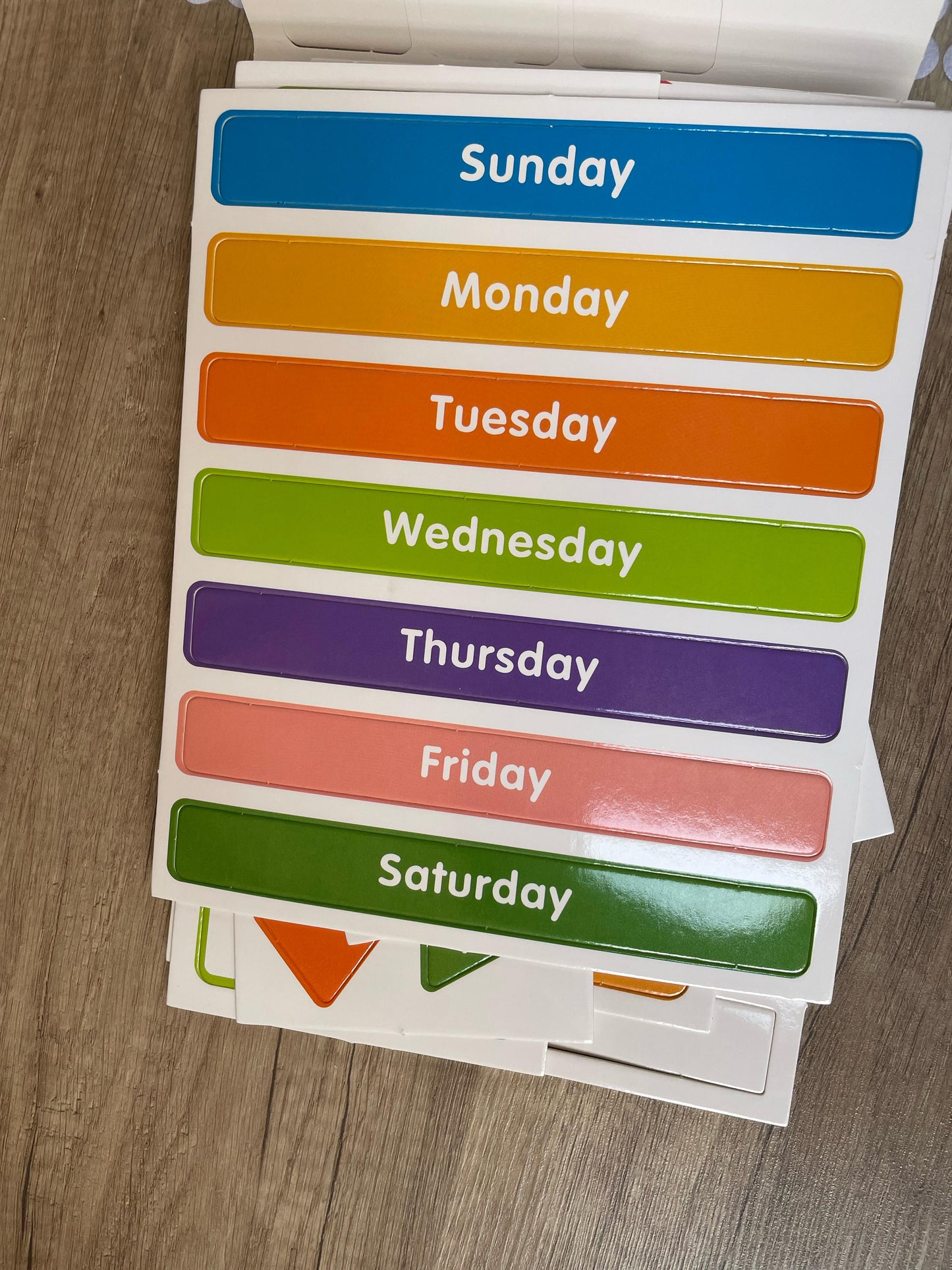 Preschool Study Book