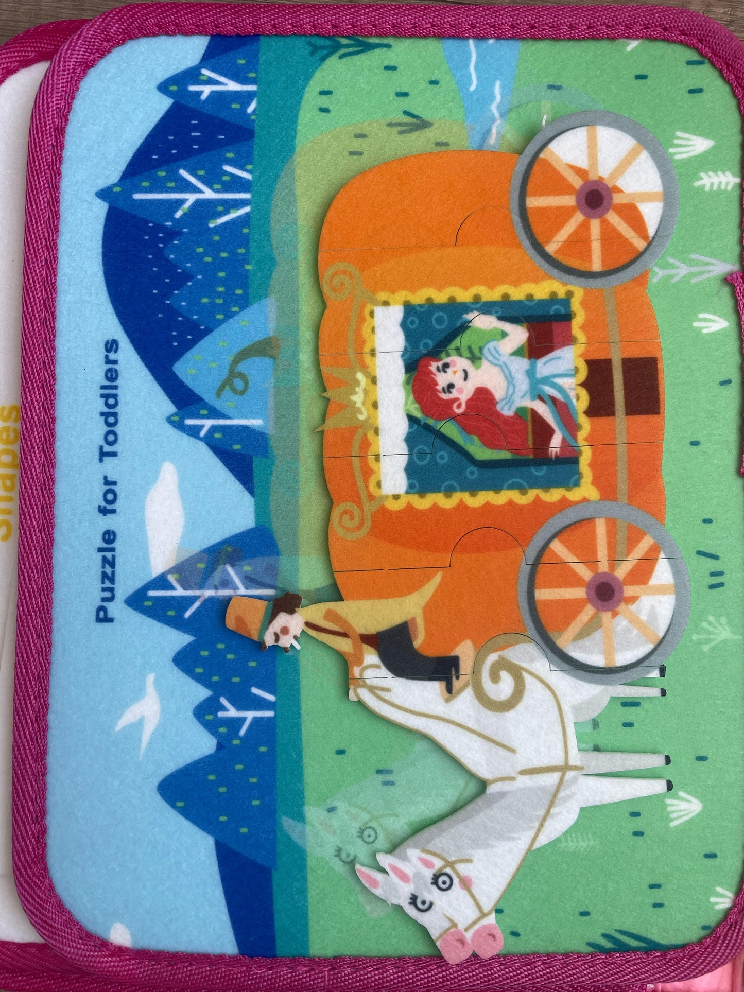 Princesses Montessori Busy Book